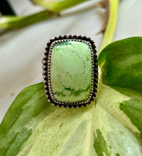 Load image into Gallery viewer, Lemon Chrysoprase Ring
